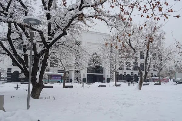 Konya İl Halk Kütüphanesi - Resim 17