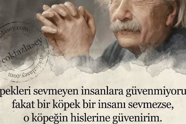BALÇOVA VETERİNER KLİNİĞİ... - Resim 18