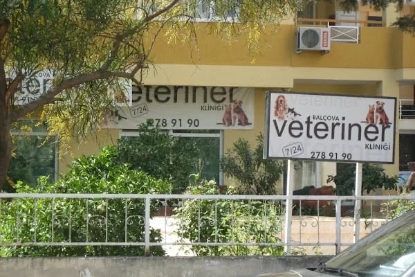 BALÇOVA VETERİNER KLİNİĞİ... - Resim 5