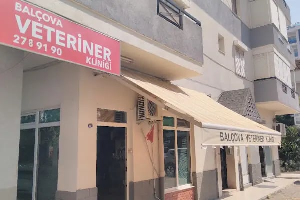 BALÇOVA VETERİNER KLİNİĞİ... - Resim 4