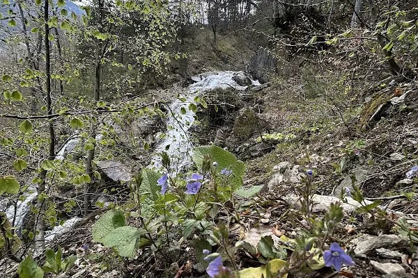 İnegöl bursa - Resim 18
