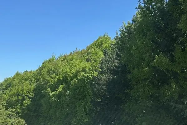 İnegöl bursa - Resim 20