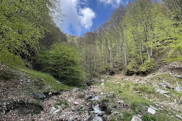 İnegöl bursa - Resim 16