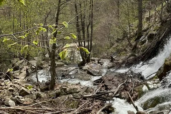 İnegöl bursa - Resim 19