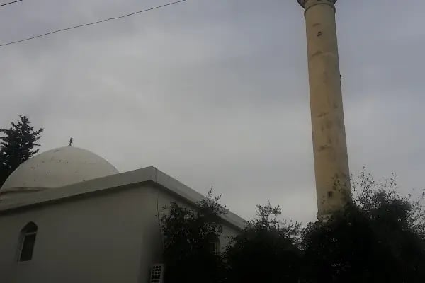 Hz. Osman Camii (Seyda Camii) - Resim 4