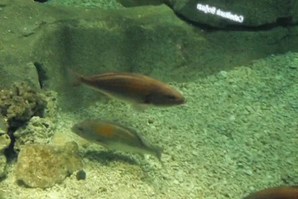 Sakarya Uygulamalı Bilimler Üniversitesi SAKARYA MESLEK YÜKSEKOKULU - Resim 10