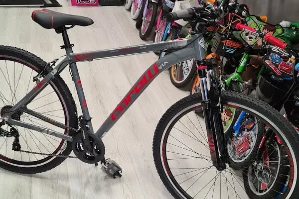Greenway bisiklet - Resim 18