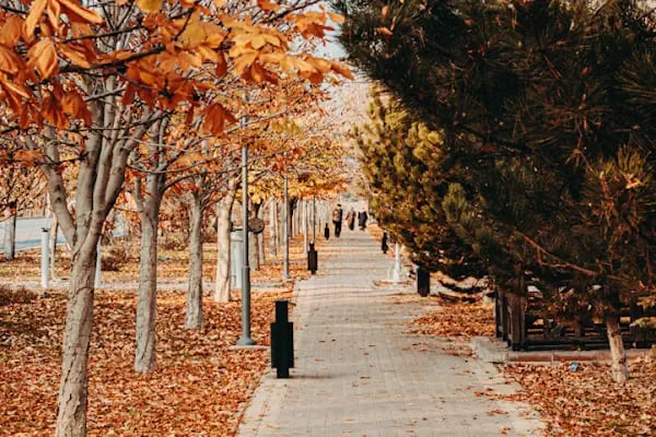 Konya Teknik Üniversitesi - Resim 15