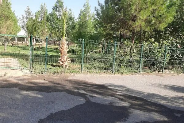 Akçakale Mesleki ve Teknik Anadolu Lisesi - Resim 17