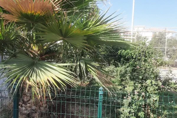Akçakale Mesleki ve Teknik Anadolu Lisesi - Resim 13
