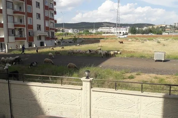 Akçakale Mesleki ve Teknik Anadolu Lisesi - Resim 12