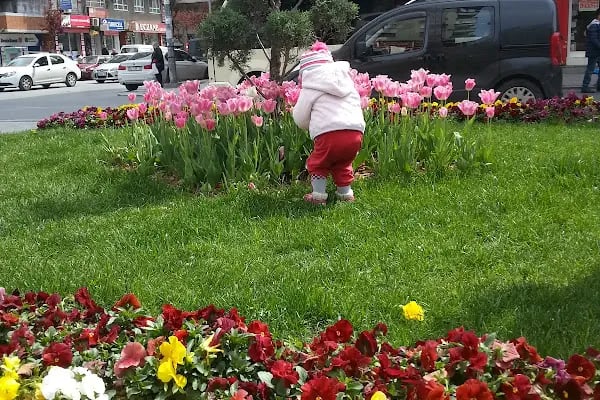 Dr. Sadık Ahmet Parkı - Resim 16