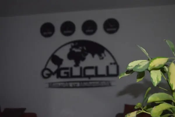 GÜÇLÜ MİMARLIK - Resim 8