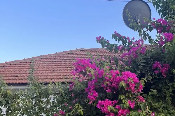 Memedim Balık Restoranı - Resim 15
