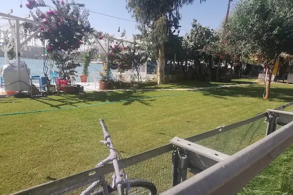 Memedim Balık Restoranı - Resim 20