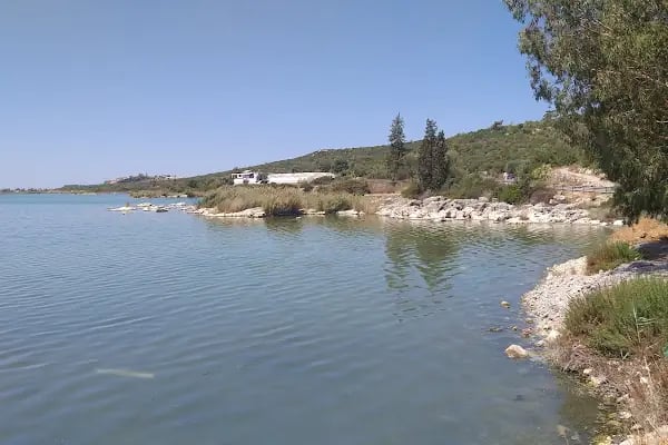 Memedim Balık Restoranı - Resim 17