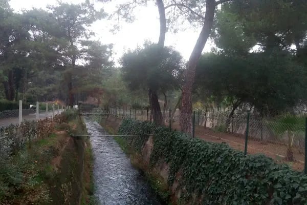 Akdeniz Su Ürünleri Araştırma Üretim ve Eğitim Enstitüsü Kepez Yerleşkesi - Resim 7