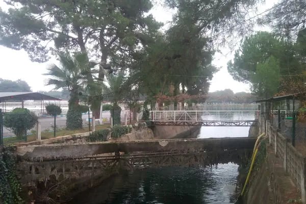 Akdeniz Su Ürünleri Araştırma Üretim ve Eğitim Enstitüsü Kepez Yerleşkesi - Resim 19