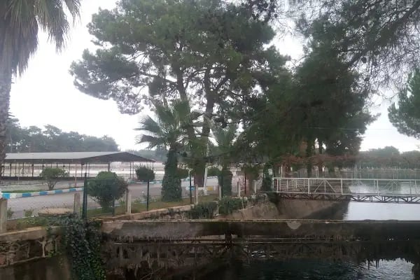 Akdeniz Su Ürünleri Araştırma Üretim ve Eğitim Enstitüsü Kepez Yerleşkesi - Resim 2