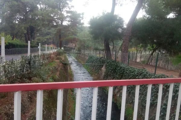 Akdeniz Su Ürünleri Araştırma Üretim ve Eğitim Enstitüsü Kepez Yerleşkesi - Resim 13