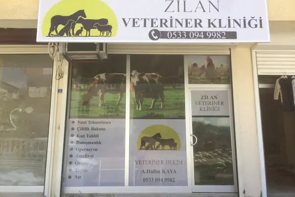 Zilan Veteriner Kliniği - Resim 2