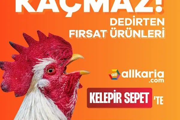 Allkaria.com - Resim 13