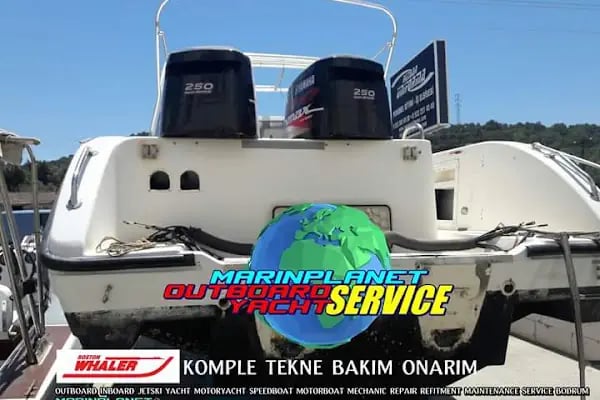 Marin Planet - Resim 18
