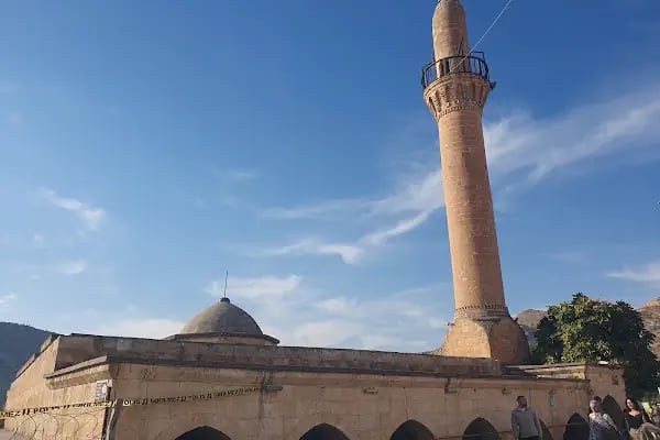 Halfeti ulu camii - Resim 3