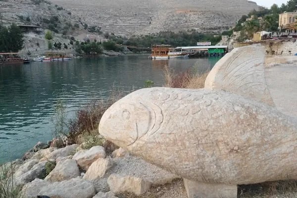 Halfeti ulu camii - Resim 7