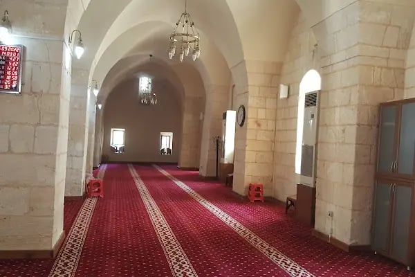 Halfeti ulu camii - Resim 16