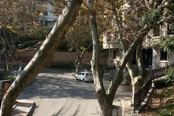 Sarıyer İmam Hüseyin Cemevi - Resim 16