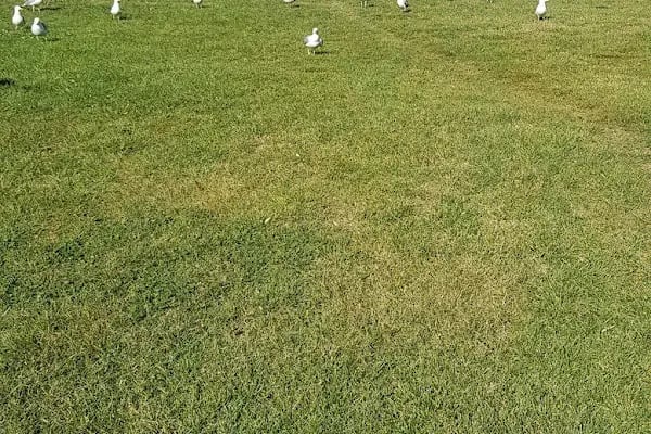 T.C. İstanbul Büyükşehir Belediyesi Darülaceze Tıp Merkezi - Resim 13
