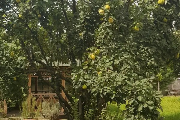 T.C. İstanbul Büyükşehir Belediyesi Darülaceze Tıp Merkezi - Resim 11
