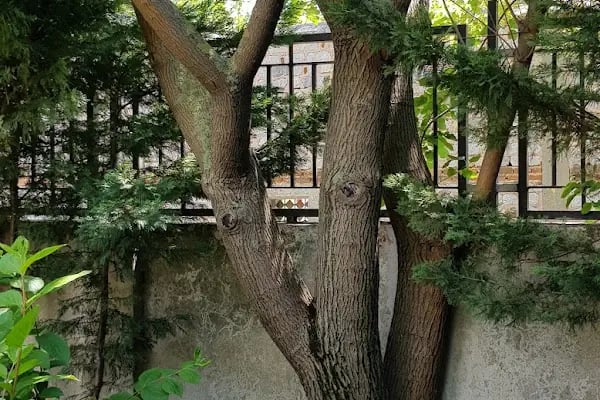 T.C. İstanbul Büyükşehir Belediyesi Darülaceze Tıp Merkezi - Resim 14