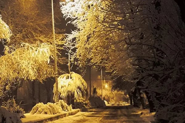 Geyikkoşan Sahili - Resim 19