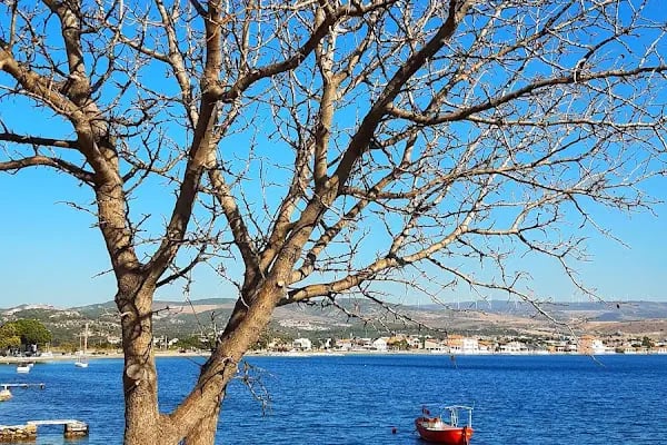 Cafe Bozburun - Resim 15