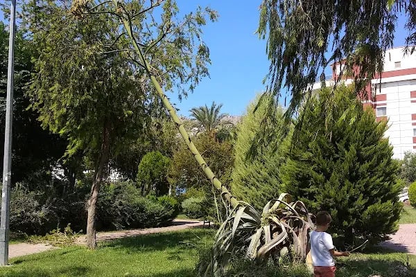 Şht. J. Kd. Uzm. Çvş. Ali Rıza Altın Parkı - Resim 19
