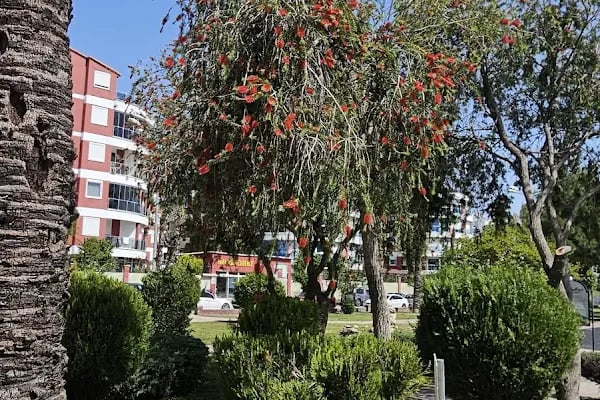 Şht. J. Kd. Uzm. Çvş. Ali Rıza Altın Parkı - Resim 14