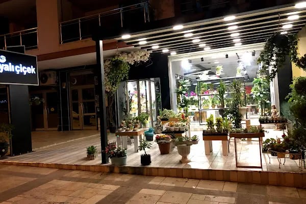 Çamlık yalı çiçek - Resim 18
