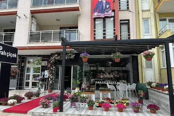 Çamlık yalı çiçek - Resim 7