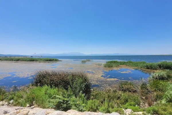 Beyşehir Gölü Milli Parkı - Resim 8