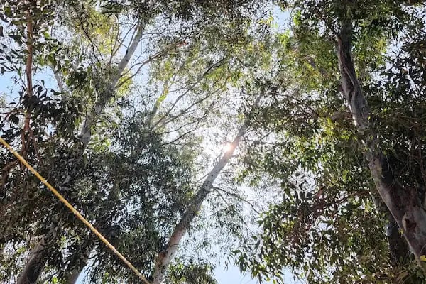 Bodrum Ecofarm Kamp &amp; Bungalow &amp; Karavan - Resim 11