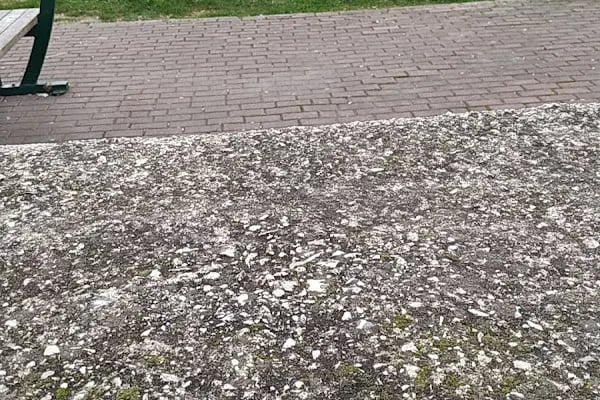 Çayırova Belediyesi Bülent Ecevit Parkı - Resim 9