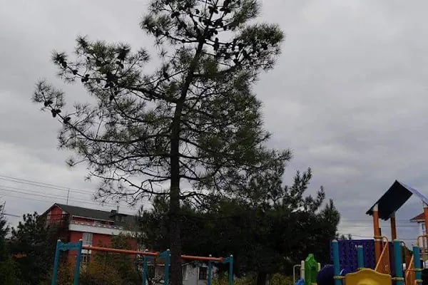 Çayırova Belediyesi Bülent Ecevit Parkı - Resim 8