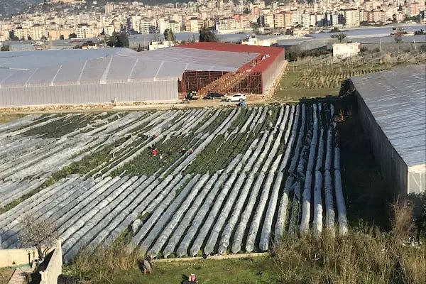 HANZADE HOME - Resim 15