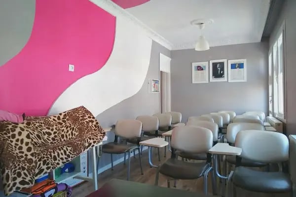 Buca Net Direksiyon Sürücü Kursu - Resim 5