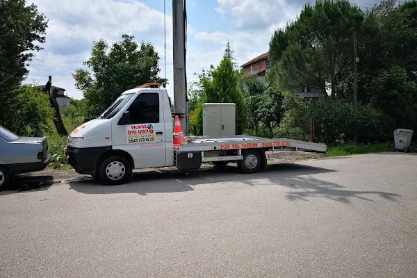 Lastikçi samet - Resim 16