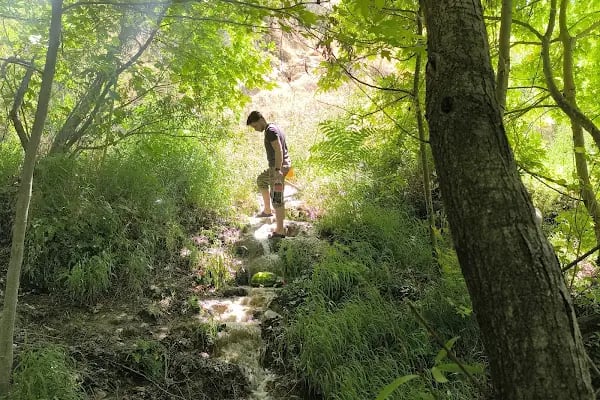 Güney Şelalesi Milli Parkı - Resim 9