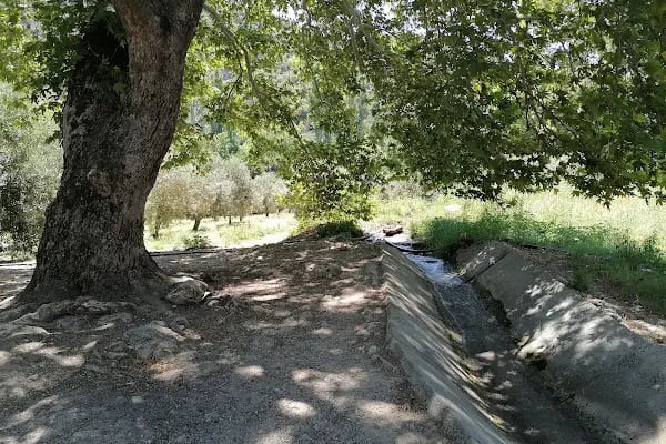 Güney Şelalesi Milli Parkı - Resim 17
