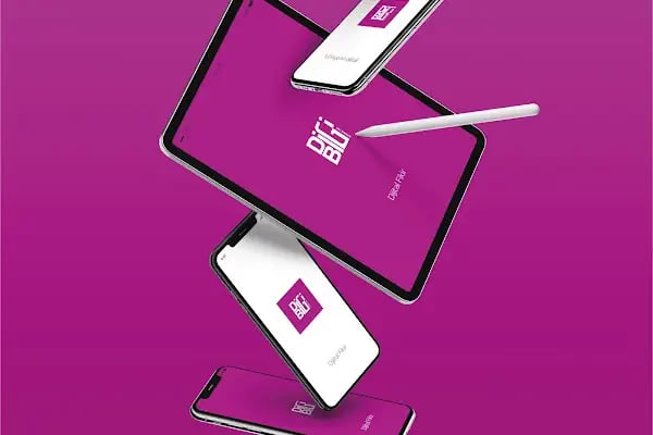DIGIBIG INTERACTIVE - Resim 13